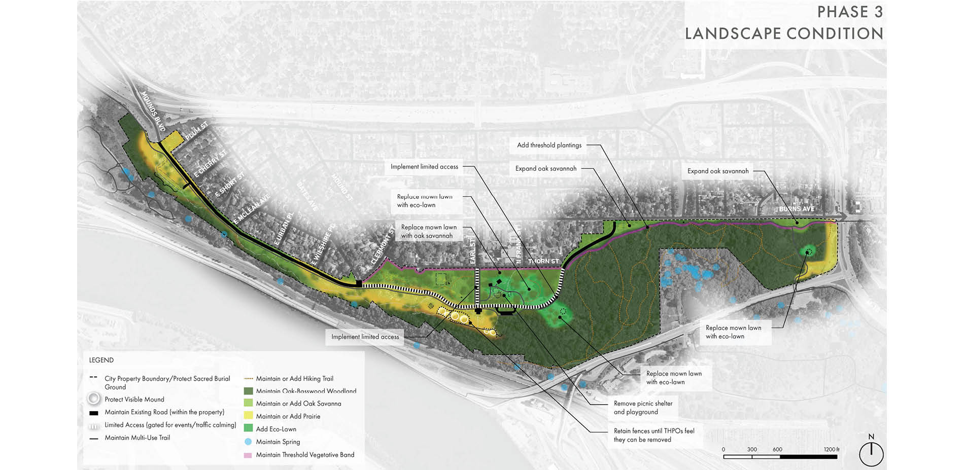 Phase 3: Landscape Condition